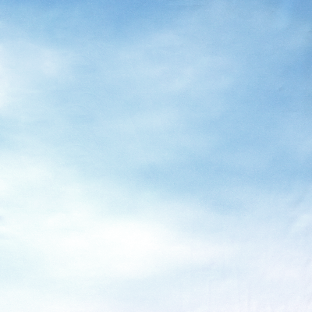 56807_BOYBL