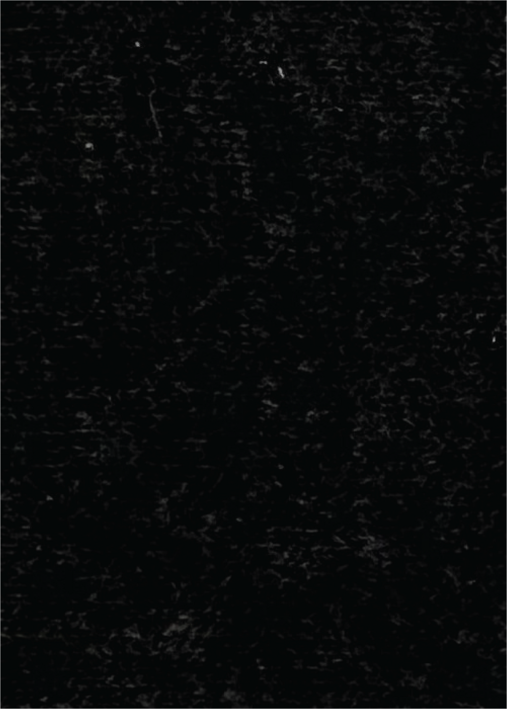 IS56308HZW_BLKH