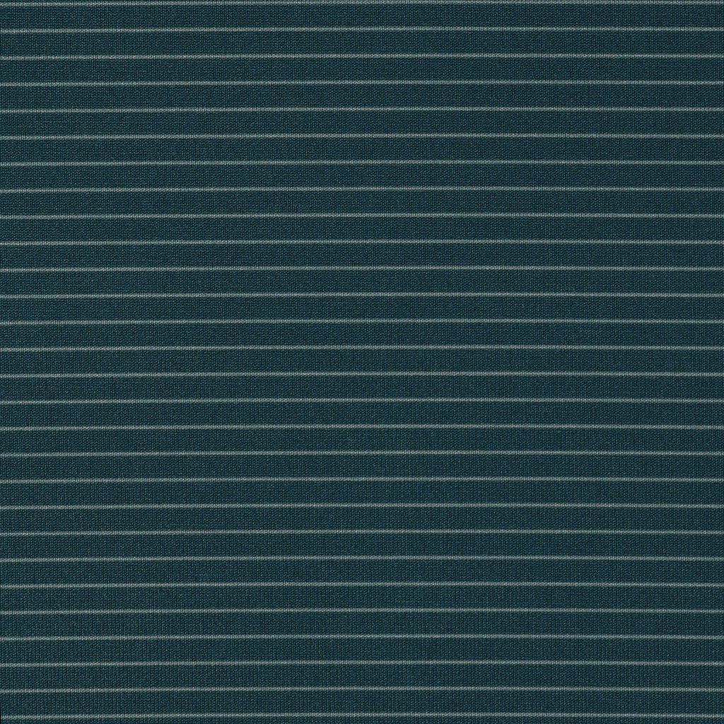 IS56812_JASPR