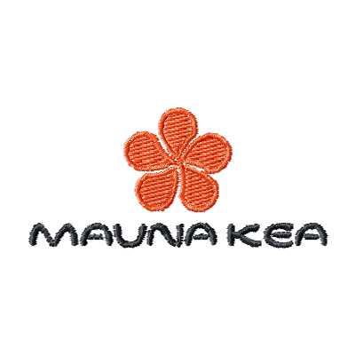 Light Logo